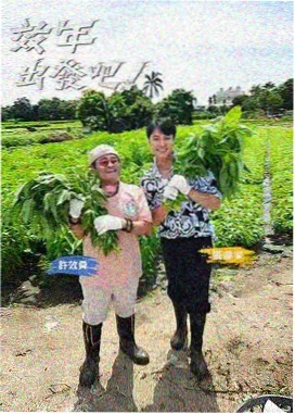 综艺条目封面，湖蓝舞台灯光与像素观众席